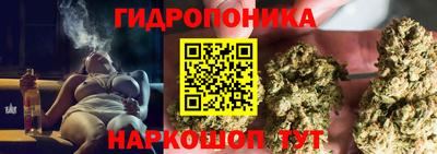 мдпв Кизляр