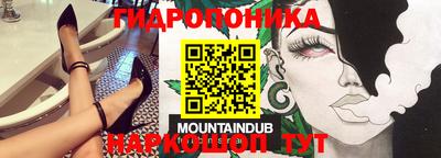 мдпв Кизляр
