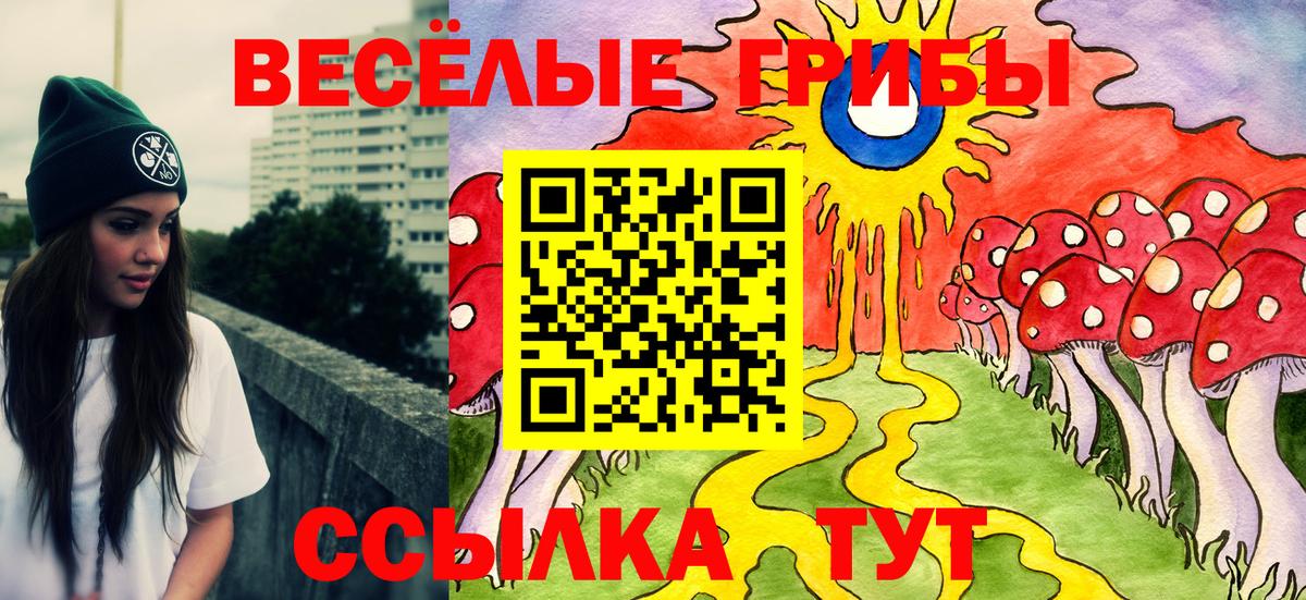 Галлюциногенные грибы прущие грибы  Вход с VPN  купить наркотики цена  Дзержинский 